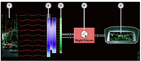 BMW Night Vision